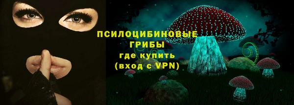 эйфоретик Алзамай