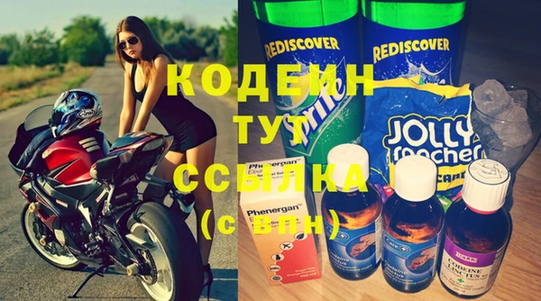 эйфоретик Алзамай