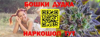 Альфа ПВП Новодвинск