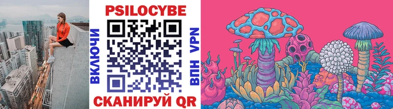 где купить наркоту  Биробиджан  Галлюциногенные грибы Psilocybine cubensis 