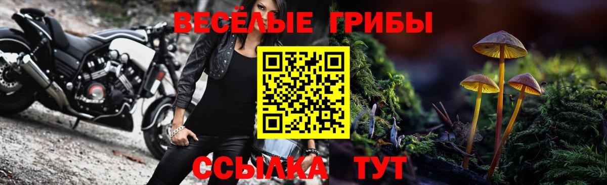 Псилоцибиновые грибы Magic Shrooms  Вход с VPN  Биробиджан 